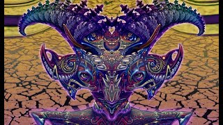 DMT Entities  broken down and described