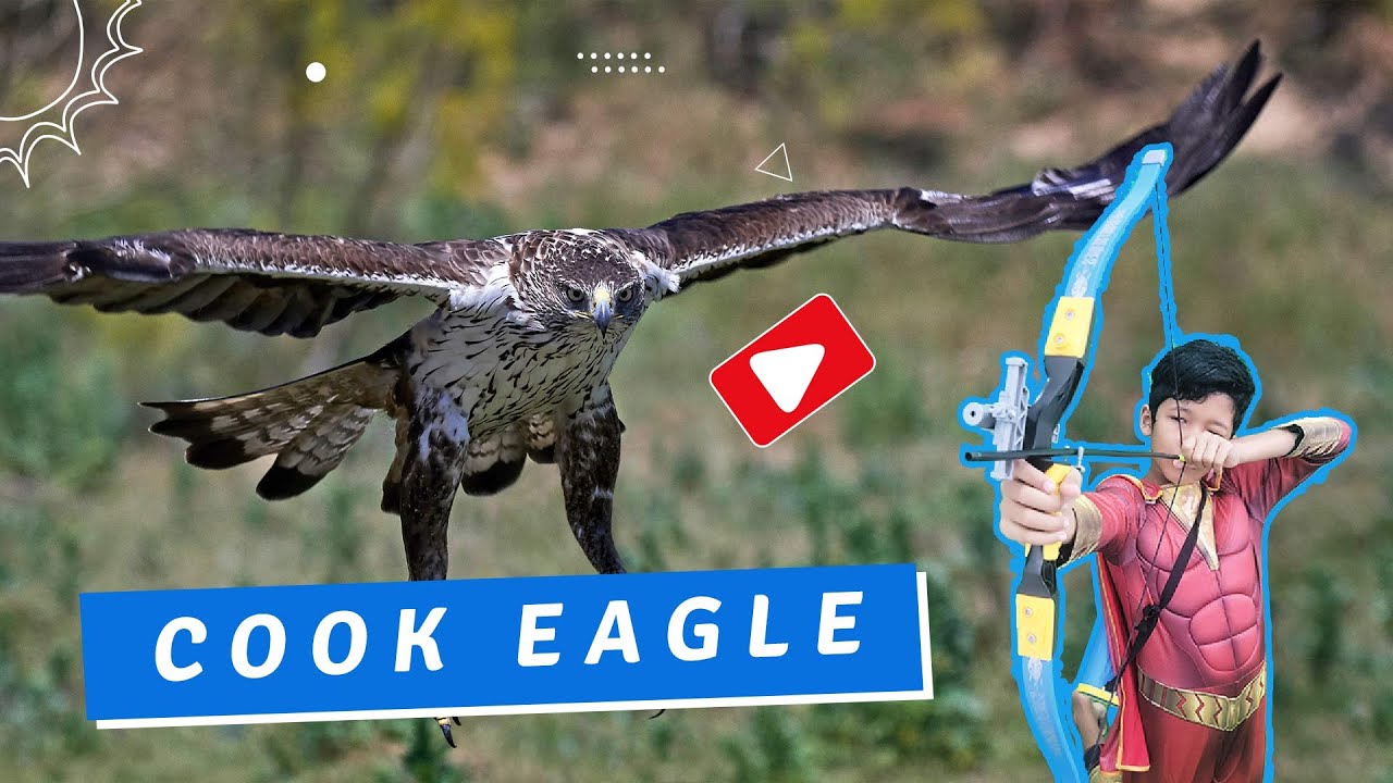 Cook Eagle Spiderman can cook the eagle. #NorrentrTV - YouTube