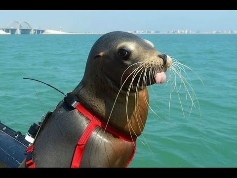 АТВ. АТБ - Акция Экономия 23 11