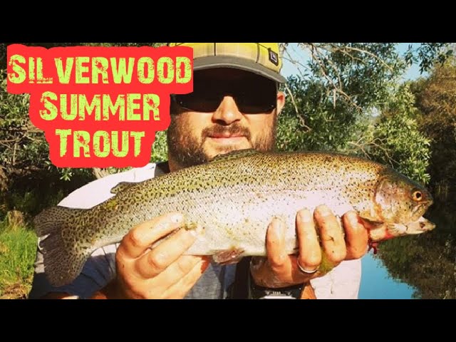 Summer Trout Fishing Silverwood Lake,CA 2019 
