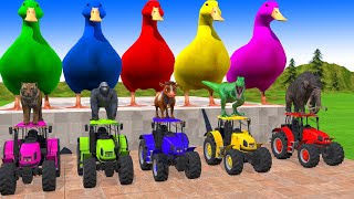 5 Giant Duck,Cow, Buffalo, gorilla, Hippo, dog, Tiger, Sheep, Transfiguration funny animal 2024