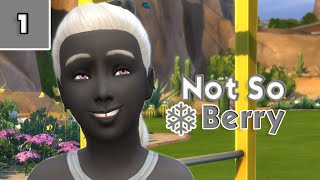 NOT SO BERRY CHALLENGE! ❄️ Grey #1  - Completing Our Childhood Aspiration