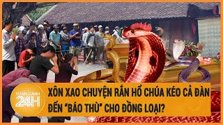 Xôn xao chuyện rắn hổ chúa kéo cả đàn đến “báo thù” cho đồng loại?