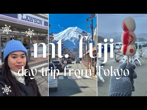 Mount Fuji Vlog 🏔️ I Day Tour from Tokyo ( it started snowing!!! ) 🌨️