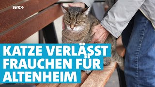 Die gute Seele des Altenheims: Katze Fritzi verlässt ihr Frauchen um mit den Senioren zu leben