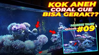 AQUARIUM AIR LAUT #EPS09 | PERKEMBANGAN CORAL DI AQUARIUM LAUT GUE