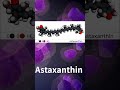 Astaxanthin Benefits - What Is Astaxanthin?