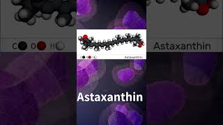 Astaxanthin Benefits - What Is Astaxanthin?
