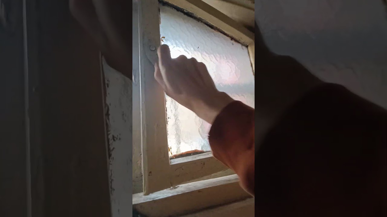 Miniatura filmu: Inne - Świętochłowice: Okno na świat w kamienicy na Górnym Śląsku