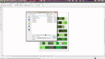 Saving the Pantone Goe Color Palette in CorelDraw X4 -