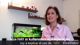 İspanyolcada Hay Kullanımı