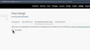 How to Enable Non-Adobe Generative AI Models in Adobe Firefly (Creative Cloud Admin Tutorial)