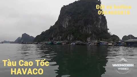 HÃNG TÀU CAO TỐC   HAVACO    TUYẾN    VÂN ĐỒN☆☆CÔ TÔ