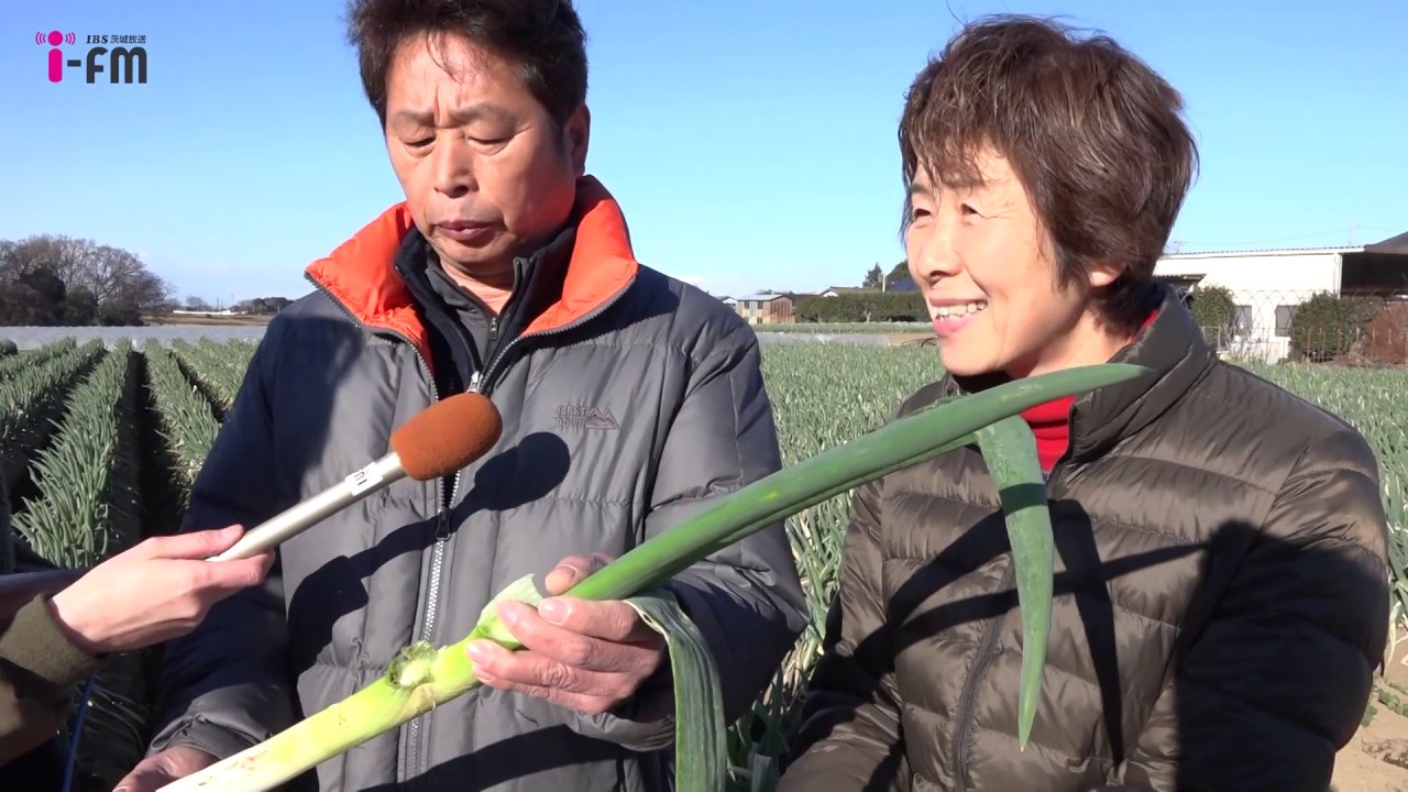いばたべGO!「坂東市 鍋ねぎ」♯10