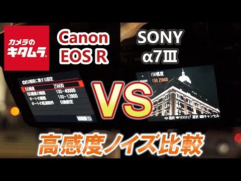 【カメラ性能比較】ソニー α7III 対 キヤノン EOS R (高感度ノイズ編)