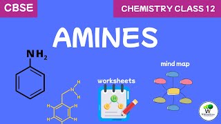 Amines Class 12 NCERT | Mind map, Notes and Worksheets Available
