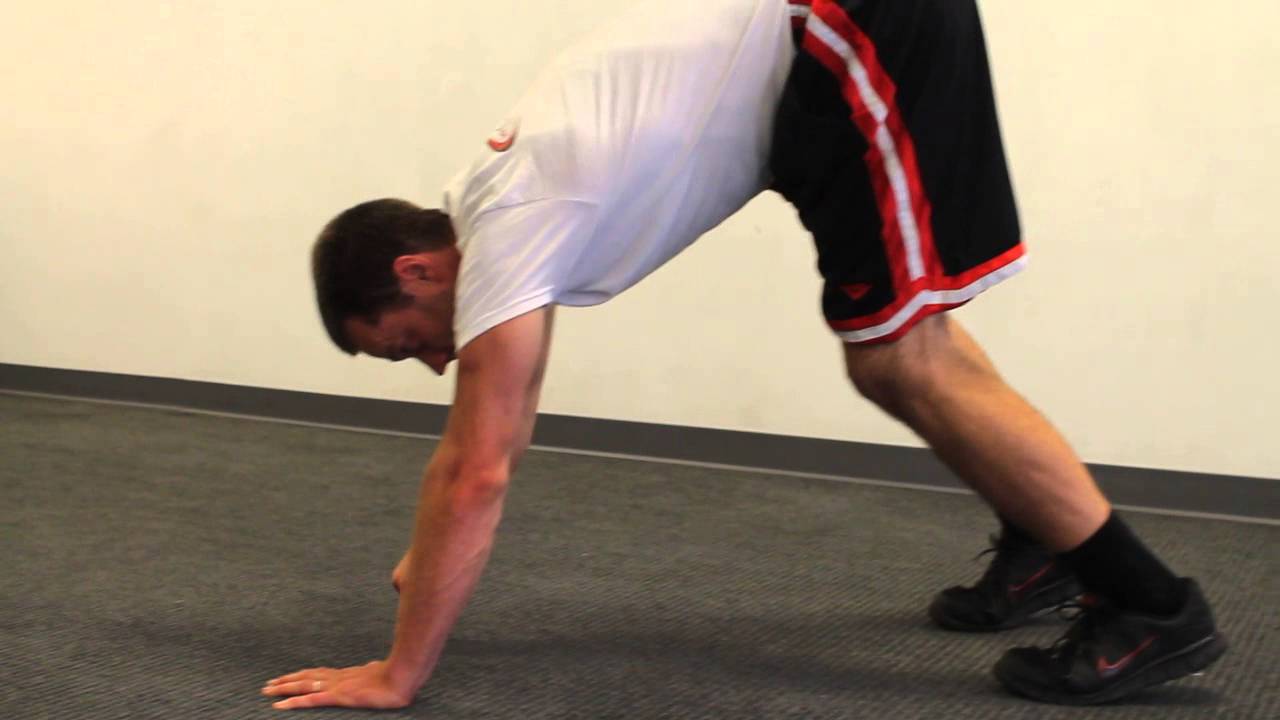 exercise 14.1 class 11 Pike Presses