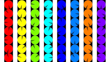 The Pacman - Ball Sorters Marble Race in Algodoo