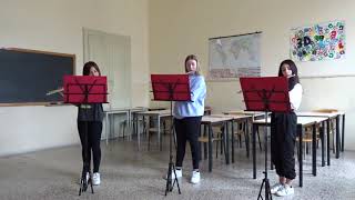 Classe Di Flauto 3D E 1C