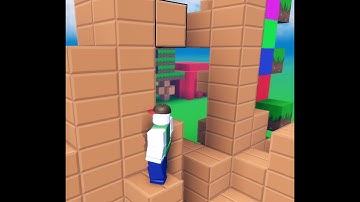 PLAYING EVERY GAME ON ROBLOX #333 | Voxel Sandbox 🔨