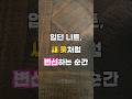 죽은 옷도 살리는 보풀제거기 #보풀제거기 #의류관리기 #니트관리템 #생활꿀템 #집안정리템