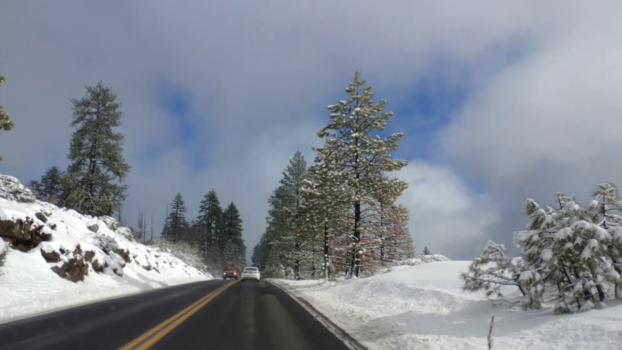 Pinecrest Ca YouTube