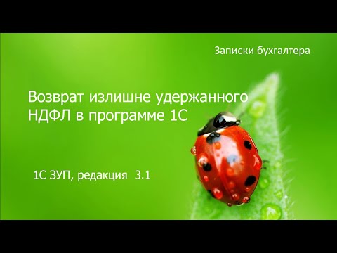 Возврат излишне удержанного НДФЛ программе 1С ЗУП 3.1