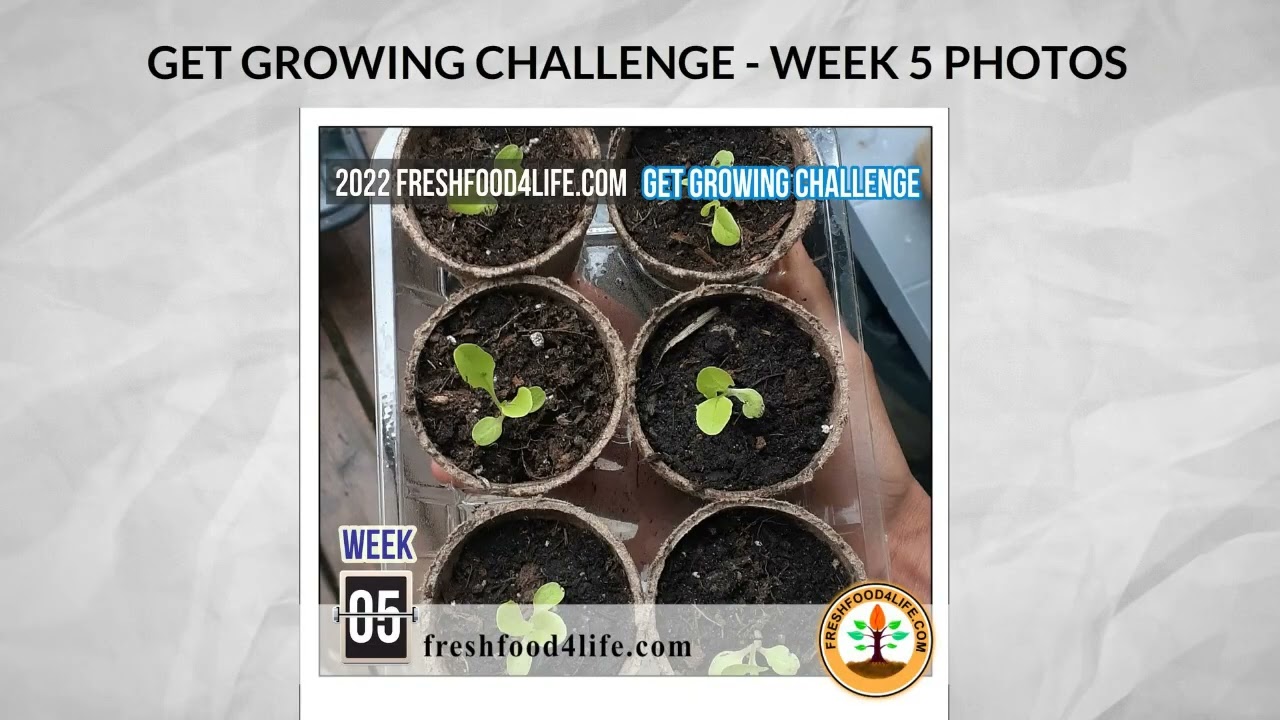 Week 5 Photos - 2022 Get Growing Challenge