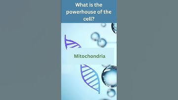 Basic Science Quiz – Test Your Knowledge!