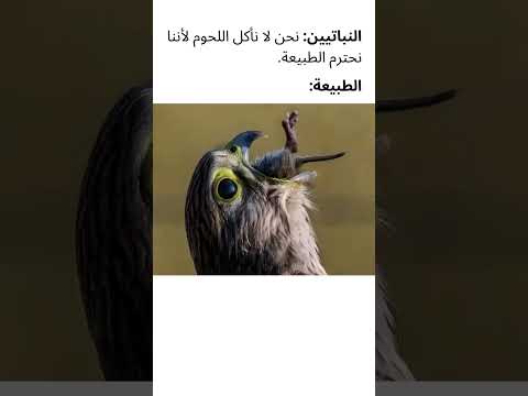 ميمز عربي 107 شورت ميمز