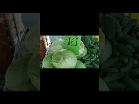Цена на капусту