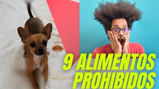 Los 9 Alimentos Prohibidos Para El Perro Chihuahua | @AmigoChihuahua