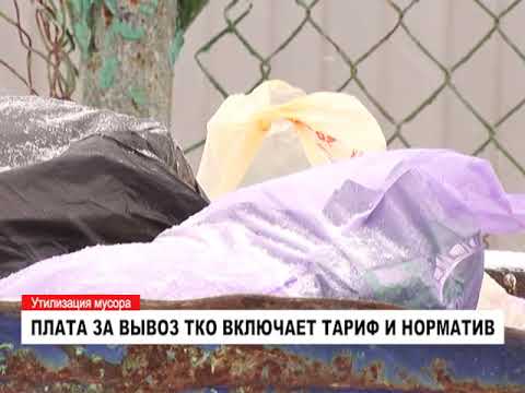 Как будет рассчитываться плата за вывоз и переработку ТКО?