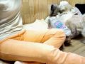 うるさい動画です。