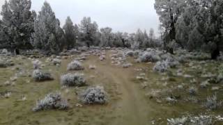 Blm land 2