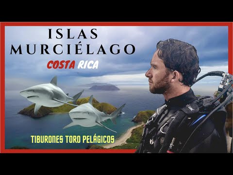 Video: Los 5 Mejores Sitios de Buceo en Costa Rica