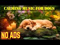 Dog Calming Music 🎶 Soothes Nervous Dogs & Reduces Barking