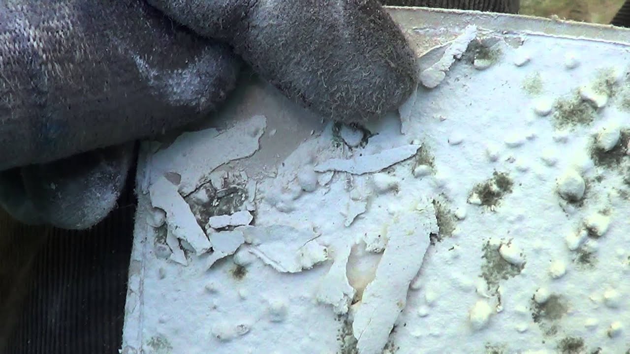 Mold on sheetrock YouTube