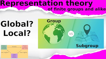 What is...a local-global principle?