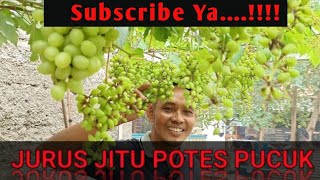 THE SUREFIRE WAY TO GROW SHOTS