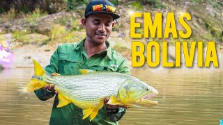 Golden Dorado Bolivia