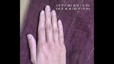 Saralavarese 1 | in all 3 speeds || Swara Practice Tutorial