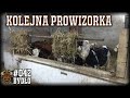 #42 Bydło opasowe - nowe wygrodzenie w starym miejscu - kolejna prowizorka i przeprowadzka cielaków