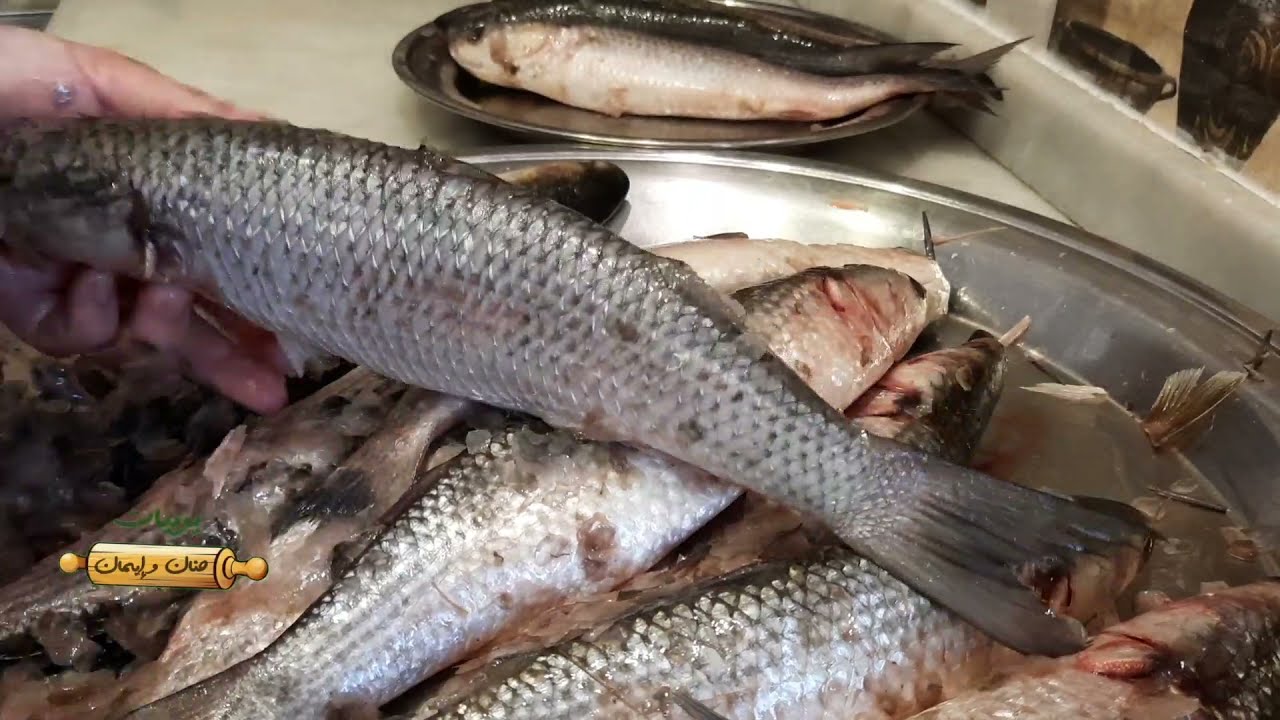 تنظيف السمك البوري وتجهيزه للشوي