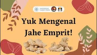 Download lagu #1 'Apa itu Jahe Emprit?'