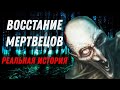 СТРАШНЫЕ ИСТОРИИ - Восстание Мертвецов | Scary Stories | Мистика | Horror Stories