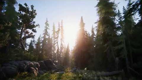 Unity: Book of the Dead Demo