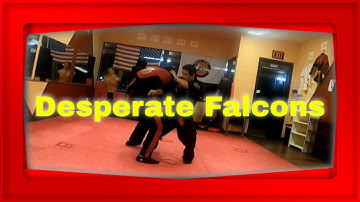 desperate falcons kenpo karate