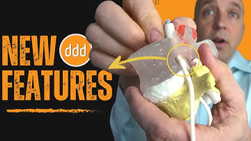 LxH Dynamic Disc Model: Your Ultimate Teaching Tool: Product Use Video