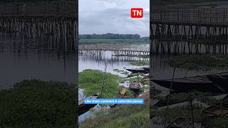 জলঙ্গী নদী # #youtubeshorts